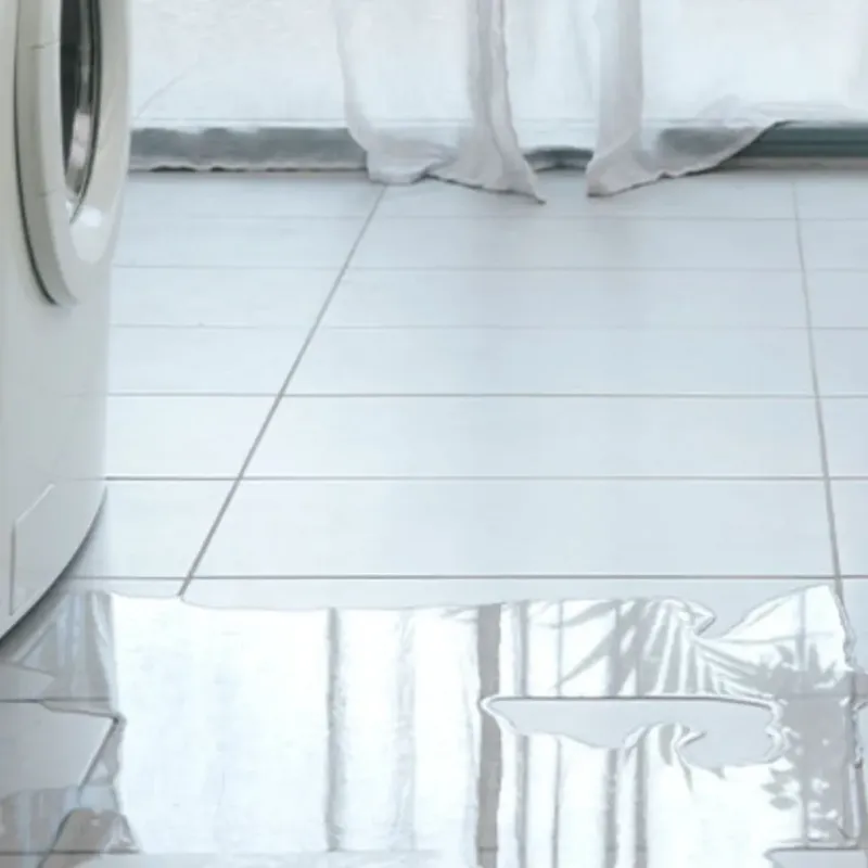Appliance Leak Cleanup in Royal Oak, MI