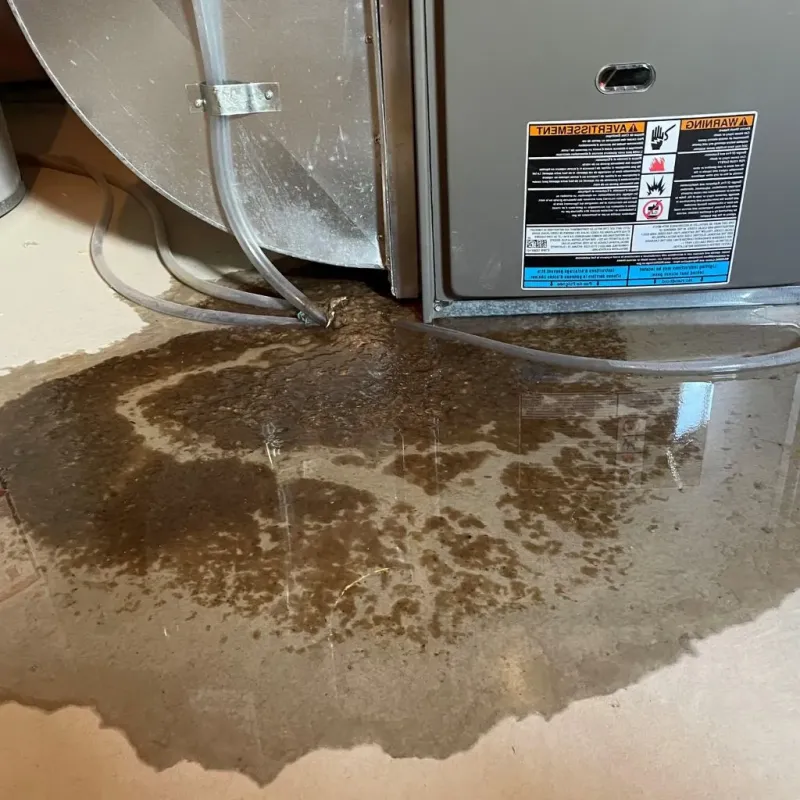 Pipe Burst and Leak Restoration in Royal Oak, MI